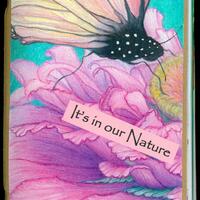 Front cover of Artbook created by Kathy Zazarine in 2018. It is a drawing of a pink flower with a yellow center and a winged insect landing on it. There is text that says "It's in our Nature," and a sticker with the library call number: CAP 709.747 ZAZ 